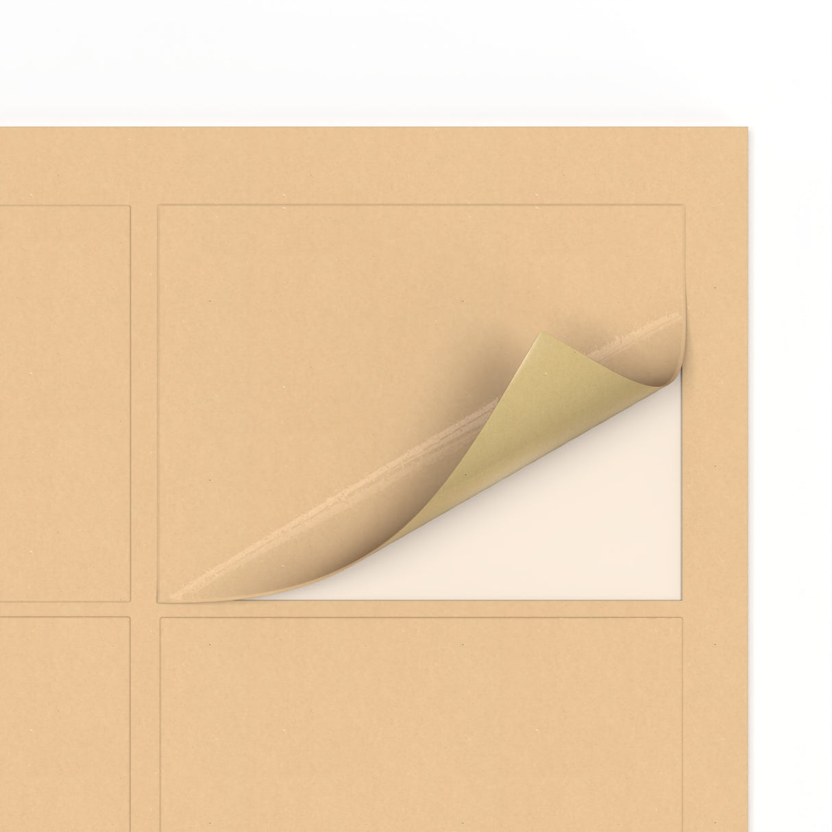 Étiquettes adhésives rectangulaires