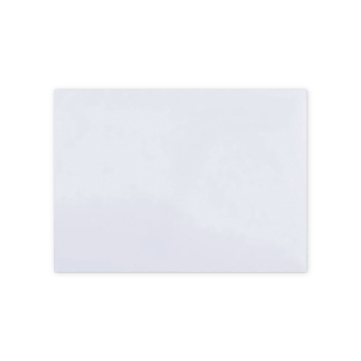 Enveloppe Motif Animaux de compagnie