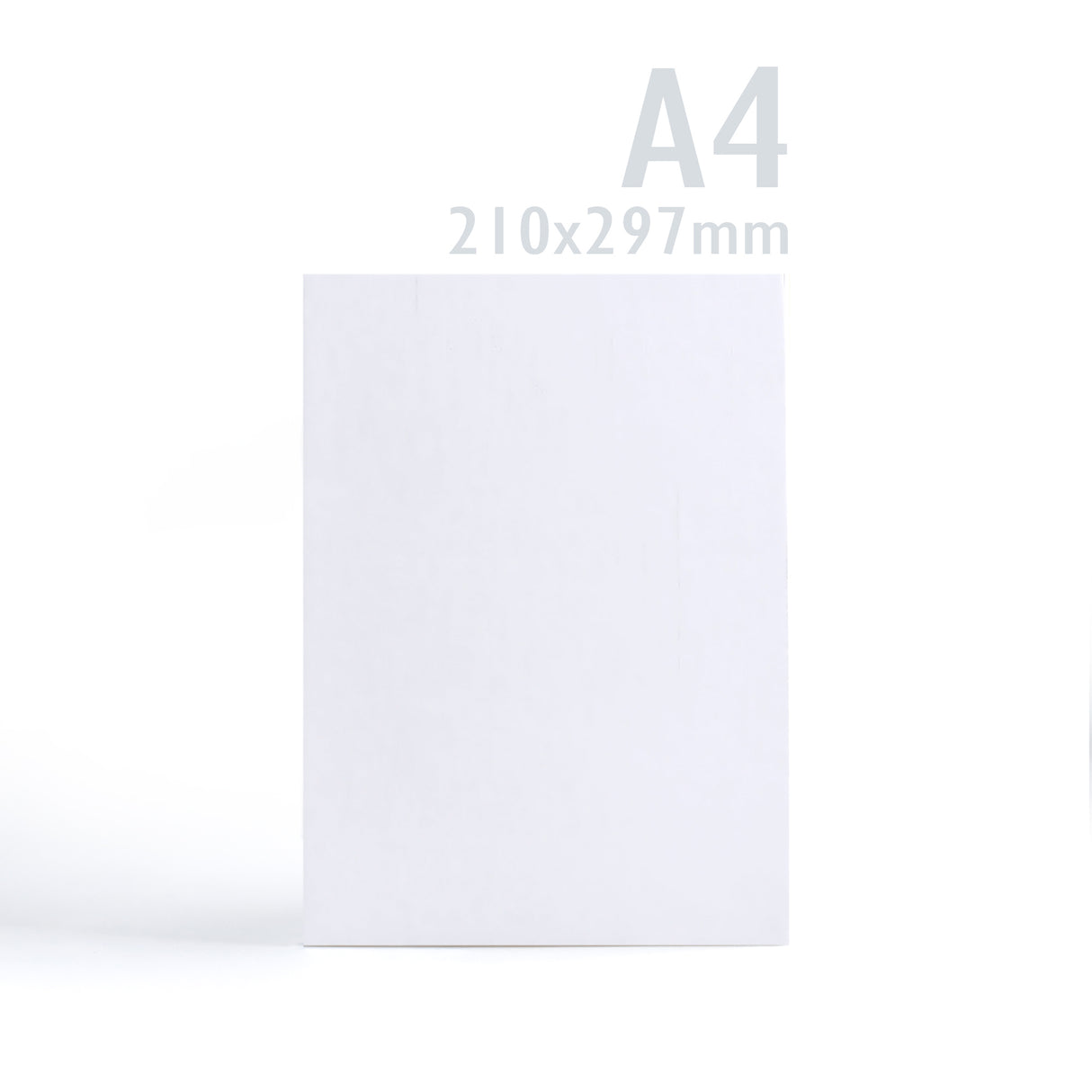 Carte 300 g/m² lot de 100 pièces