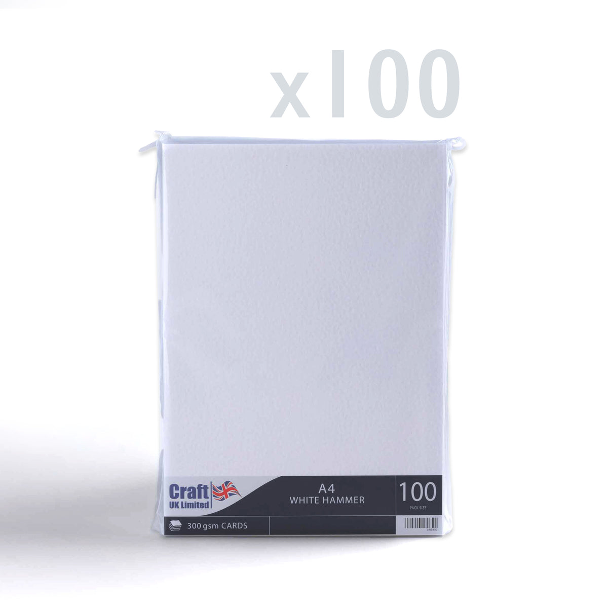Carte 300 g/m² lot de 100 pièces