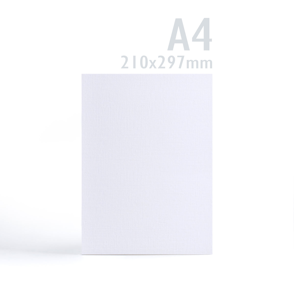 Carte 300 g/m² lot de 100 pièces