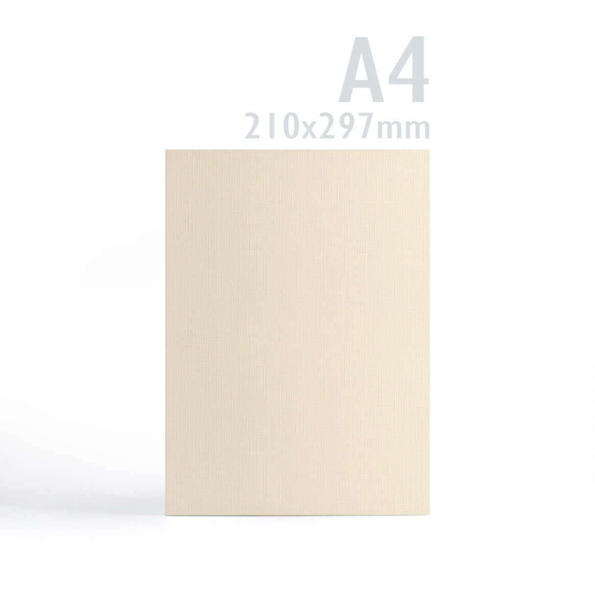 Carte 300 g/m² lot de 100 pièces