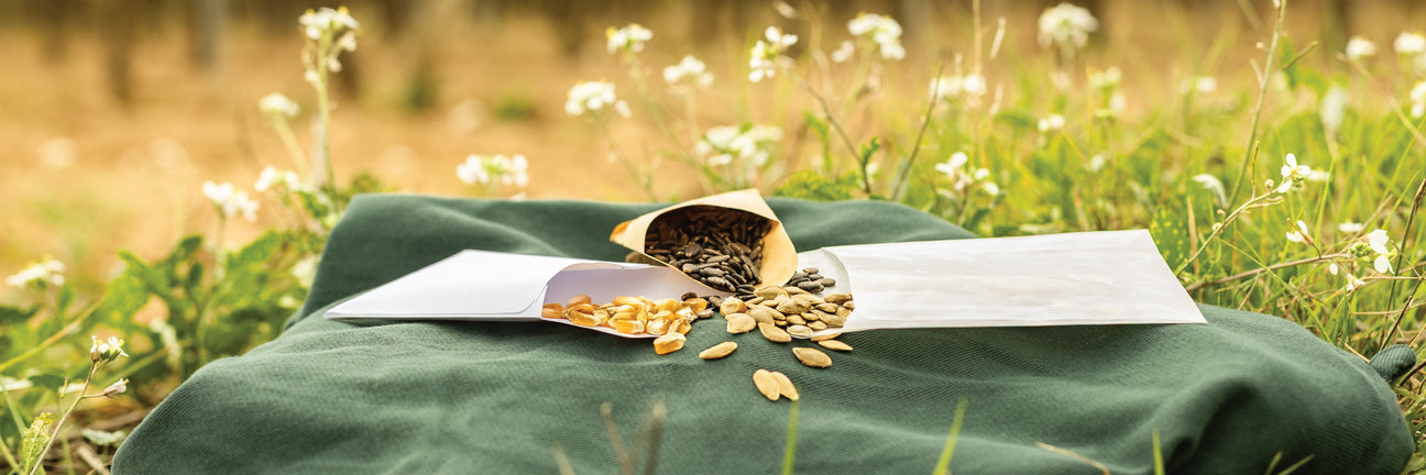 Enveloppes pour Graines