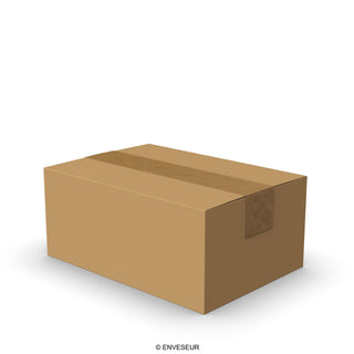 Boîtes en carton à rabats pour expéditions