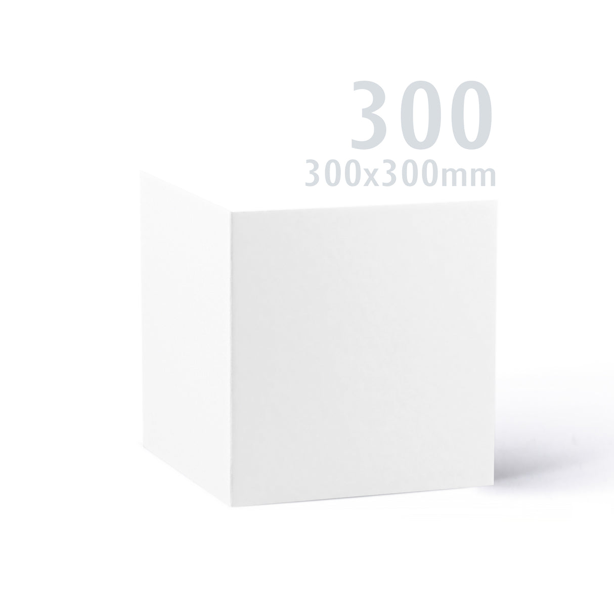Carte Premier blanche 300x300 250 g/m² lot