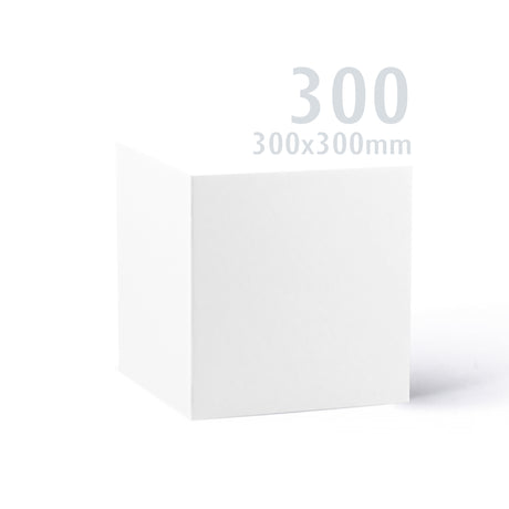 Carte Premier blanche 300x300 250 g/m² lot
