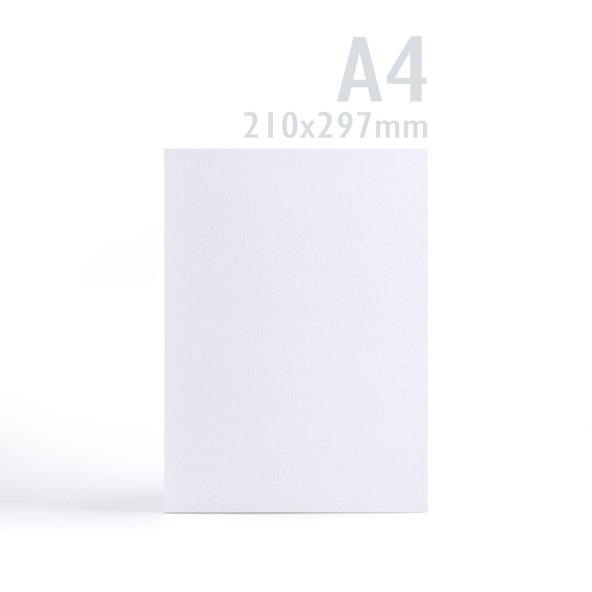 Carte 300 g/m² lot de 100 pièces