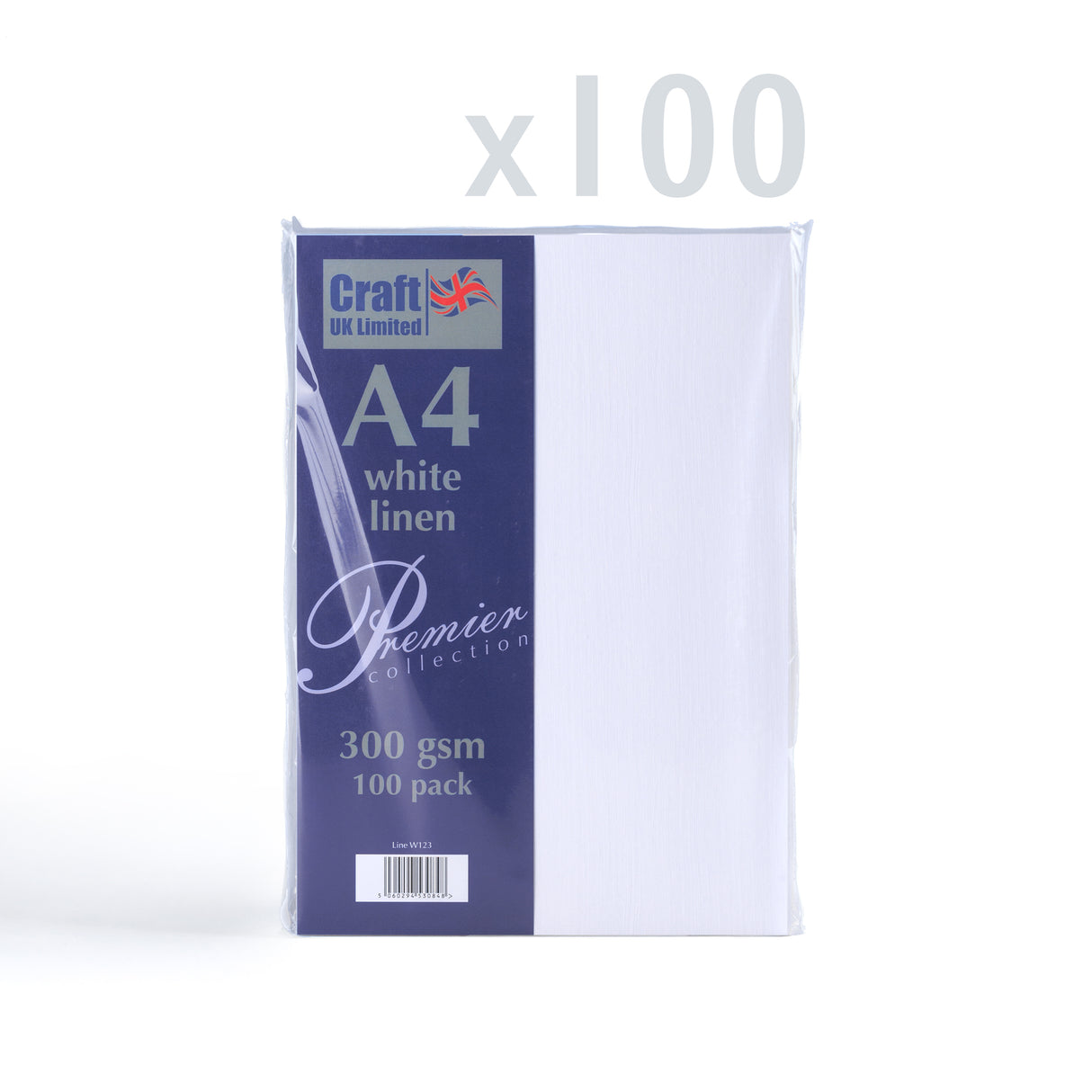 Carte 300 g/m² lot de 100 pièces