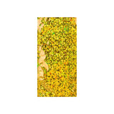 Sachets Alus Holographiques